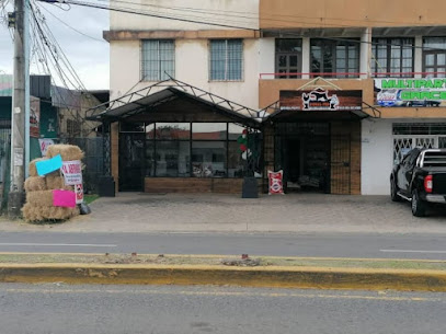 Animal Pro | Santiago