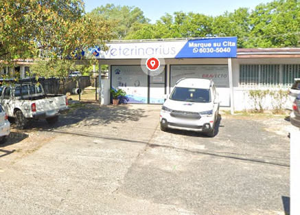 Clínica Veterinaria Veterinarius
